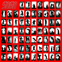 Saga - The Beginner's Guide to Throwing Shapes