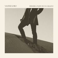 Valter Lobo - Primeira parte de um assalto