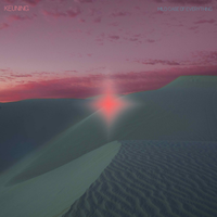 Keuning - A Mild Case of Everything