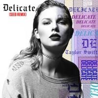 Taylor Swift & Seeb - Delicate (Seeb Remix)