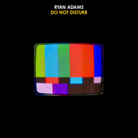 Ryan Adams - Do Not Disturb