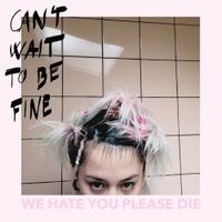 We Hate You Please Die - Can't Wait To Be Fine