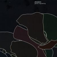 Phonophani - Genetic Engineering
