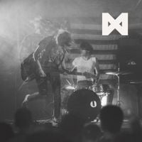 The Armed - Unanticipated