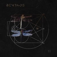 Benthos - II
