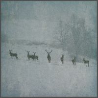 Rauhn&aring;cht - Winterstille