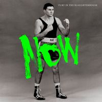 Fury In The Slaughterhouse - NOW