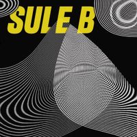 Sule B - La Teor&iacute;a del Caos