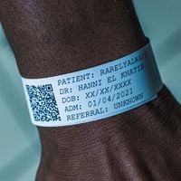 Rarelyalways & Hanni El Khatib - Manic