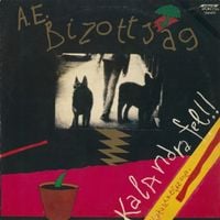 A.E. Bizotts&aacute;g - Kalandra Fel!