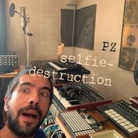 PZ - Selfie-Destruction