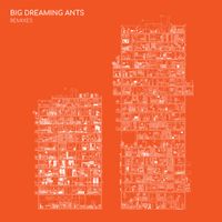 Nana Adjoa - Big Dreaming Ants Remixes