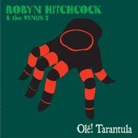 Robyn Hitchcock & The Venus 3 - Ole! Tarantula