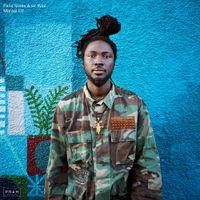 Falle Nioke & sir Was - Marasi