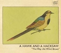 A Hawk and a Hacksaw - The Way The Wind Blows