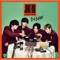 DISH// - Junkfood Junction