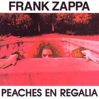 Frank Zappa - Peaches en Regalia