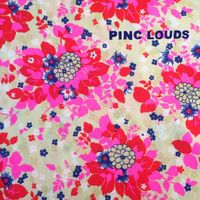 Pinc Louds - Pinc Louds