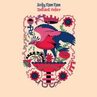 Birdy Nam Nam - Defiant Order