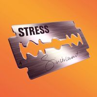 Stress - Sinc&egrave;rement
