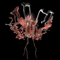 Various Artists - Dixon Presents Transmoderna