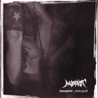 Kaospilot - Diskografi