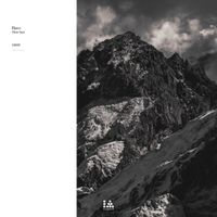 Flaws - Theta State