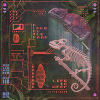 A Lake By The Mõõn - Life in Warp