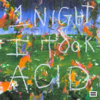 BIGBABYGUCCI - 1 Night I Took Acid