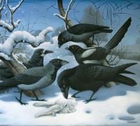 Lisa Germano - In The Maybe World