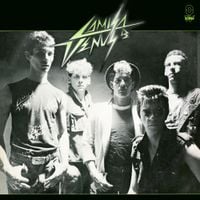 Camisa De V&ecirc;nus - Camisa de V&ecirc;nus