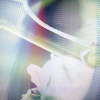 Renjā - Vision Simulation