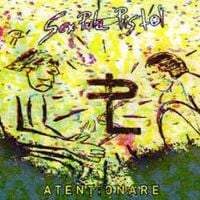 Sex Pula Pistol - Atentionare