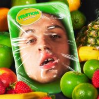 Dan D&rsquo;Lion - Fruition