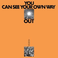 Ilyas Ahmed & Jefre Cantu-Ledesma - You Can See Your Own Way Out