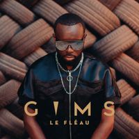 GIMS - Le fl&eacute;au