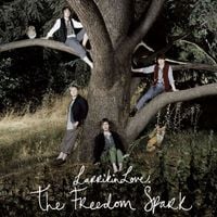 Larrikin Love - The Freedom Spark