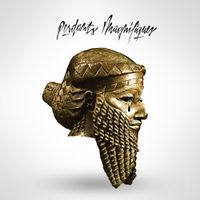 Sameer Ahmad - Perdants Magnifiques