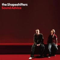 The Shapeshifters - Sound Advice