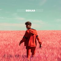 Bekar - Briques rouges