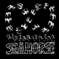 Horsey - Seahorse