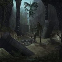 Ancient Boreal Forest - Only Time Will Tell Us Its Secrets