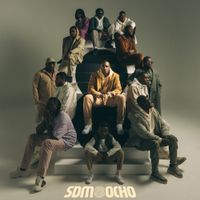 SDM - OCHO
