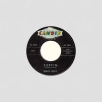 The Beach Boys - Surfin / Luau