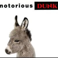 Dunkey - More Dunkey More Problems