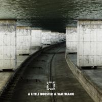 A Little Rooster & Waltmann - .RUE