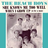 The Beach Boys - When I Grow Up (to Be a Man)
