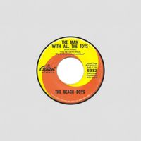 The Beach Boys - The Man with All the Toys