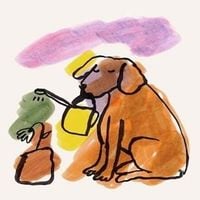 Cavetown - Man's Best Friend