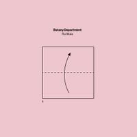 Rui Maia - Botany Department